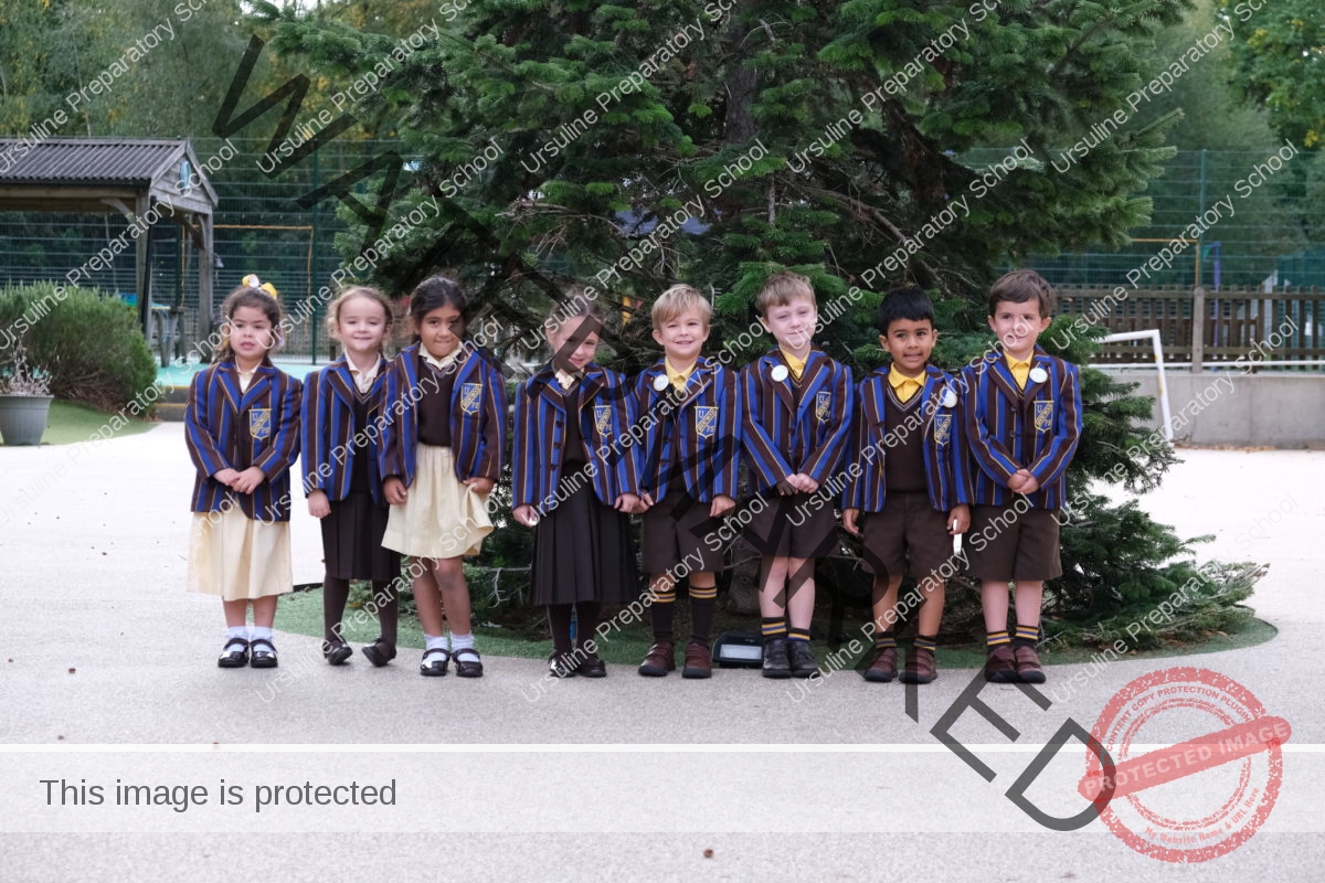 Gallery Ursuline Prep School